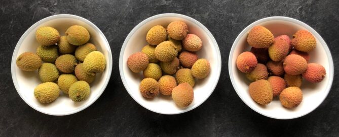 cold rooms and packhouse for litchis